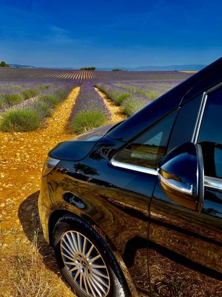 Visite des champs de Lavande à Valensole en taxi ou chauffeur privé